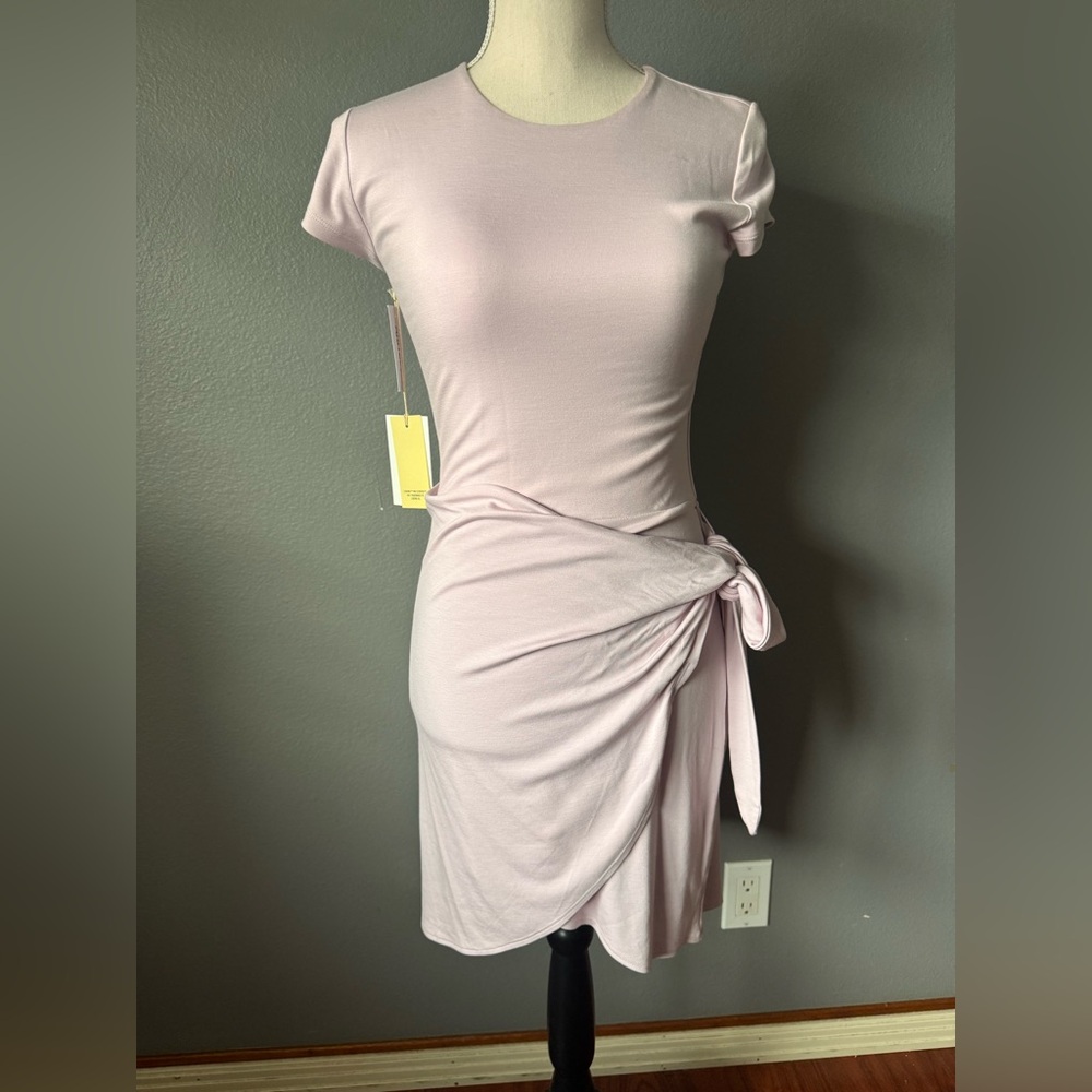 Aritzia Wilfred Dress